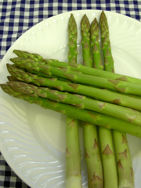 Connovers Colossal asparagus officinalis image####