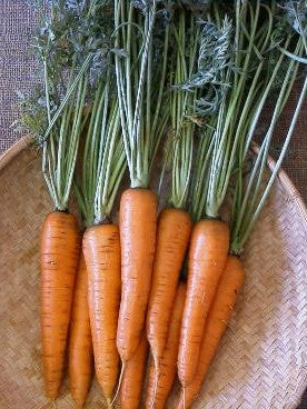 Danvers carrot image####