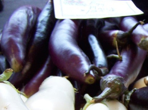 Long Purple eggplant image####