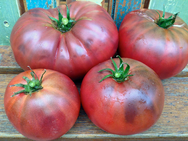Rosella Purple tomato image####