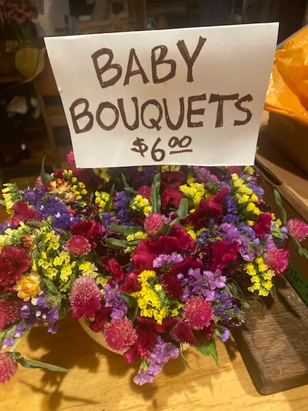 Celosia Cockscomb