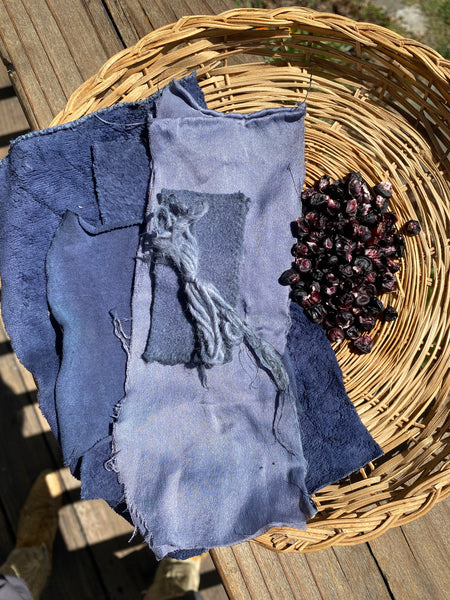 Soltera Morado