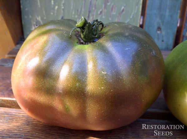 Amazon Chocolate tomato image####