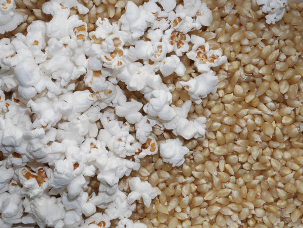 Amish Butter corn, pop image####