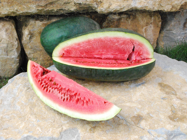 ancient watermelon
