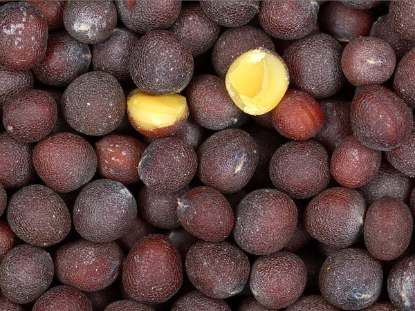 black mustard image####