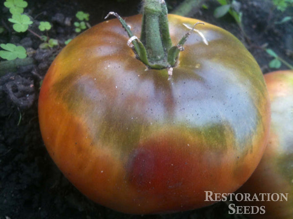 Black Krim tomato image####