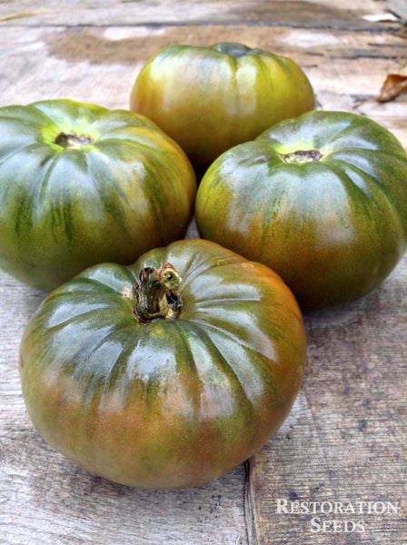 Black Russian tomato image####