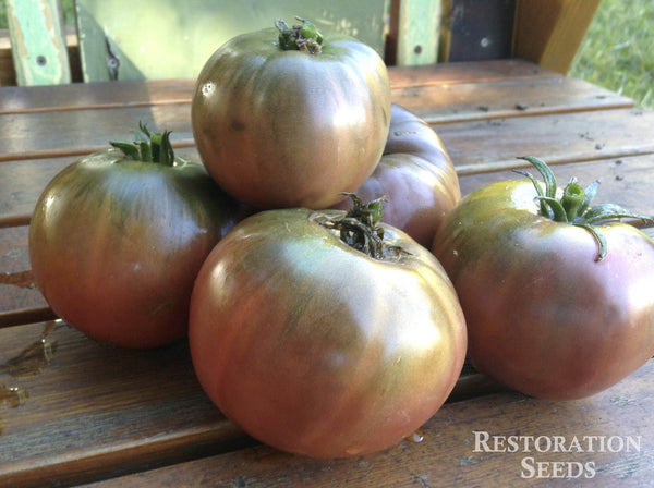 Blue Fruit tomato image####
