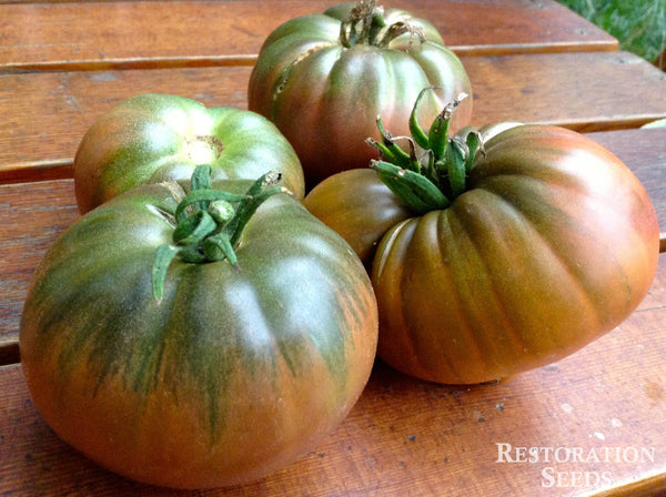 Blue Fruit tomato image####