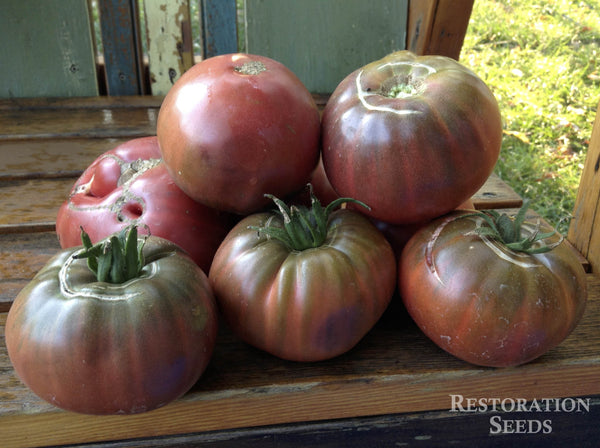 Bosque Blue Tomato Seeds