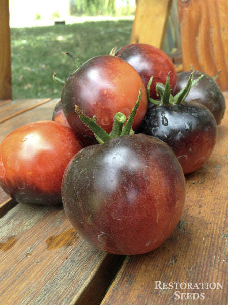Bosque Blue tomato image####