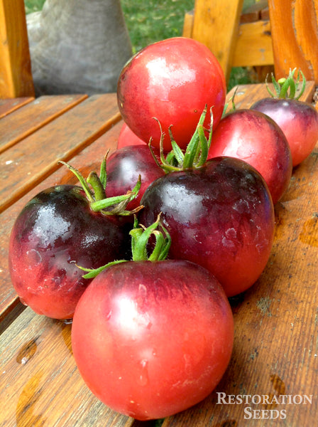 Blush Plum tomato image####