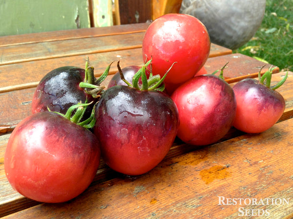 Blush Plum tomato image####