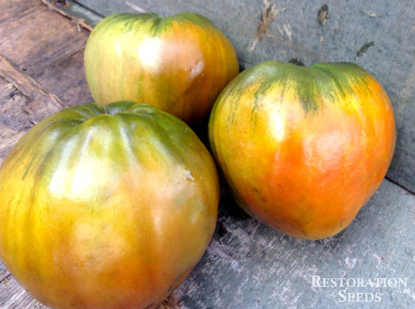 Brad's Black Heart tomato image####