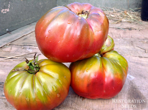 Brad's Black Heart tomato image####