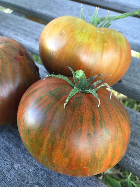 Chocolate Stripes tomato image####