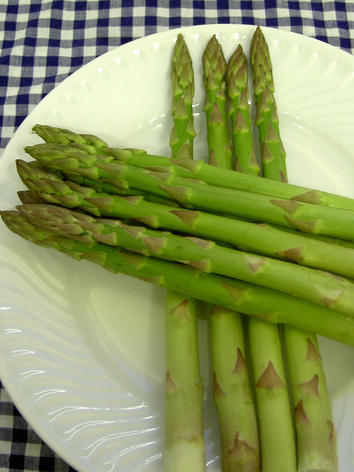 ASPARAGUS 「#1 / モメント」 Asparagus Antique Everitt's Seed Packet, Martha Washington