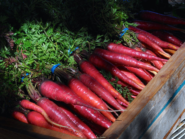 Cosmic Purple carrot image####
