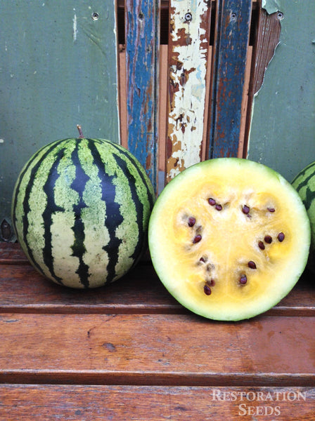 Early Moonbeam Yellow watermelon image####