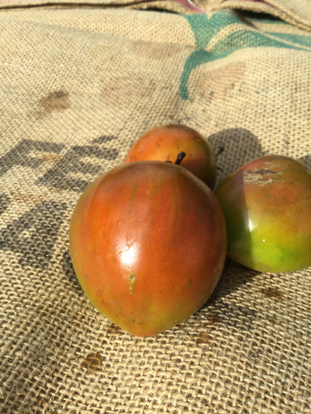 Everett´s Rusty Oxheart tomato image####
