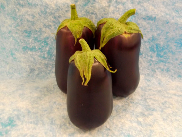 Florida Market eggplant image####
