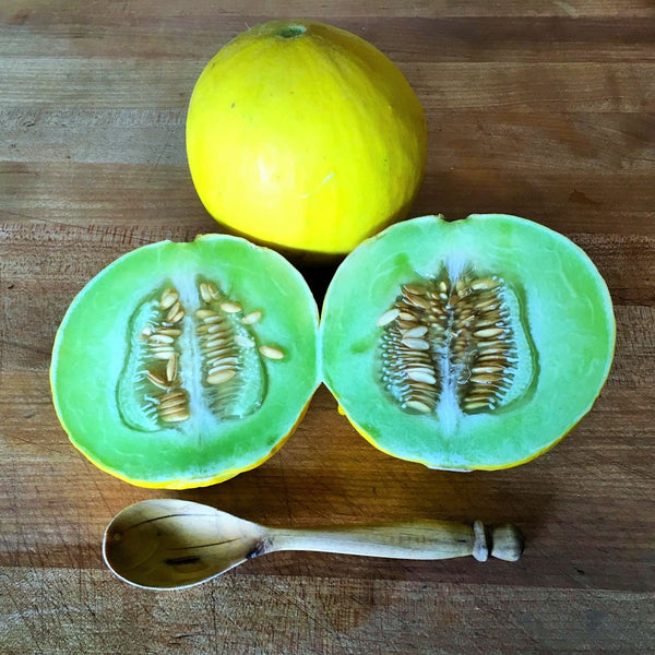 Golden Honeymoon melon image##Photo: Ron Boyd##