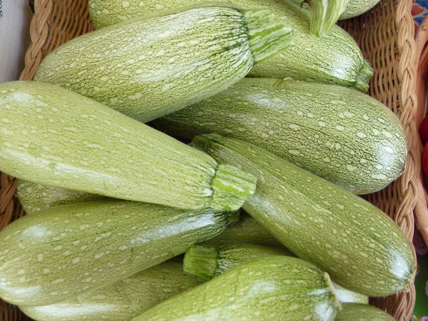 Grey zucchini image##Blue House Greenhouse Farm##http://bluehousegreenhousefarm.blogspot.com/2011/09/farm-stand-photo-essay.html