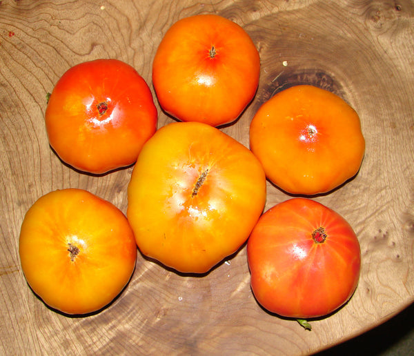 Hillbilly tomato image####