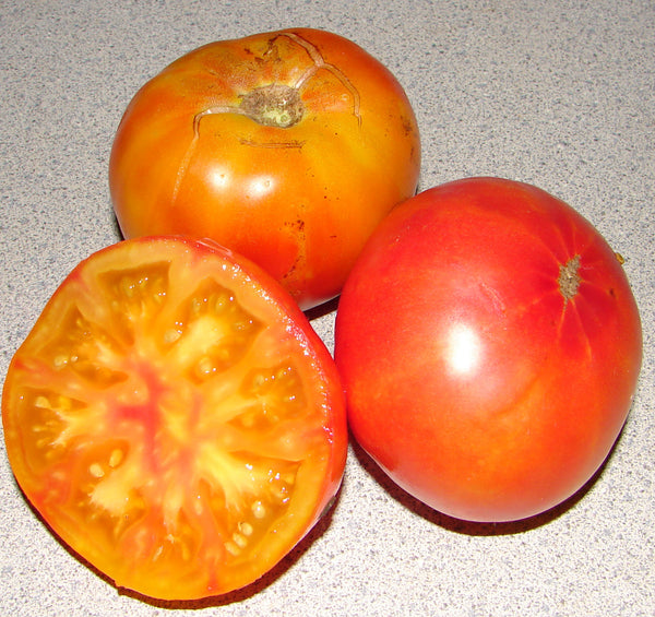 Hillbilly tomato image####
