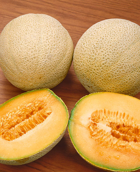 Honeydew Melon Market Summary - Produce Blue Book