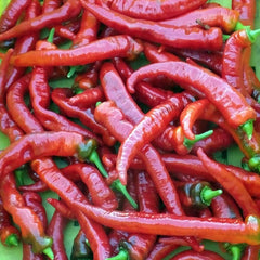 tobacco pepper Tabasco Seeds - Heirloom diseases and are fairly maintenance Tabasco Pepper (Capsicum annuum)