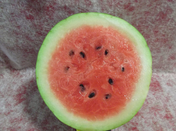 Jubilee Improved watermelon image####
