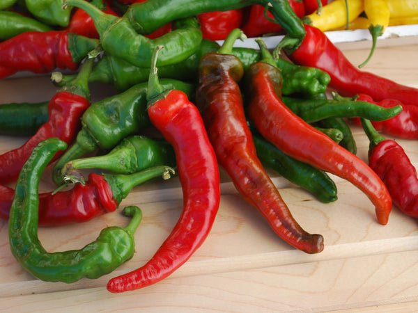 Maule’s Red Hot pepper, cayenne image####