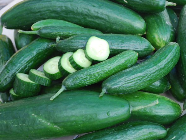 Muncher cucumber image####