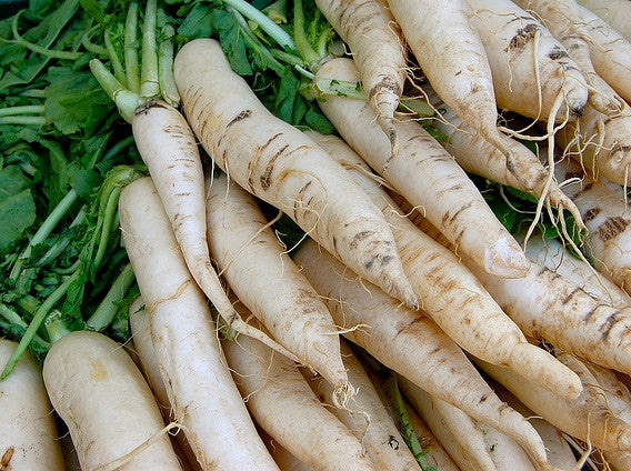 Nermia daikon image####