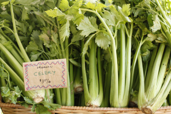 Pascal celery image##Photo: Debra Daniels Zeller, University District Farmers Market.##