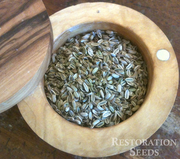 Perfection fennel image####