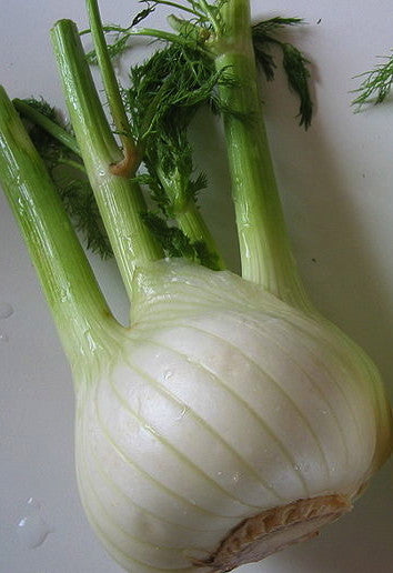 Perfection fennel image####