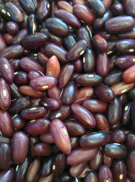 Provider Organic bean image####