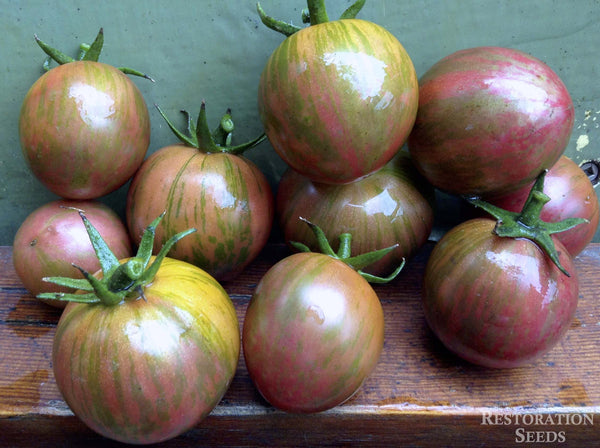 Purple Bumble Bee tomato image####