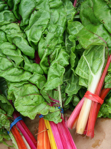 Rainbow chard image##Jona Thunder##http://commons.wikimedia.org/wiki/Category:Chard#mediaviewer/File:SwissChard.jpg