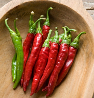 Red Rocket pepper, sweet image####