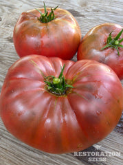rose de berne tomato seeds Rose de Berne tomato, Organic
