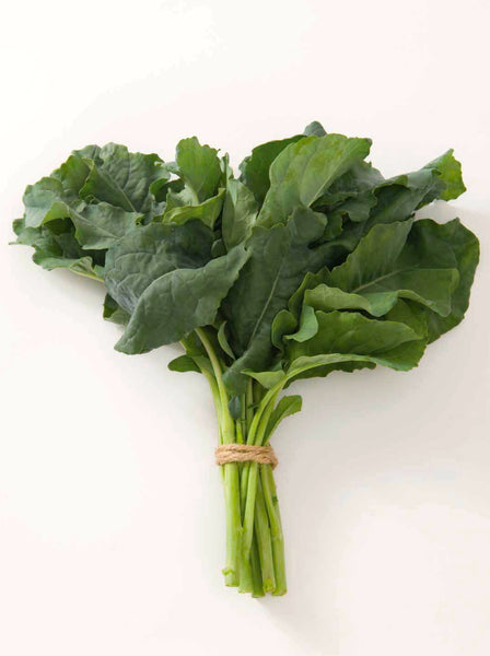 Spigariello Liscia broccoli image####