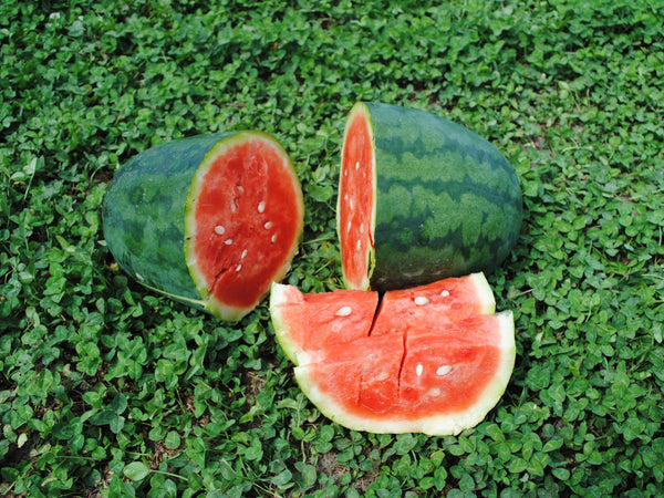 Strawberry watermelon image##Photo: Southern Exposure Seed Exchange##http://www.southernexposure.com/