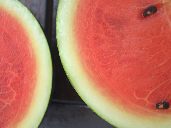 Sugar Baby watermelon image##Ms. Buena Vida##http://msbuenavida.com/ms-buena-vida-1/2012/05/07/watermelon-from-seed-to-harvest?rq=sugar%20baby