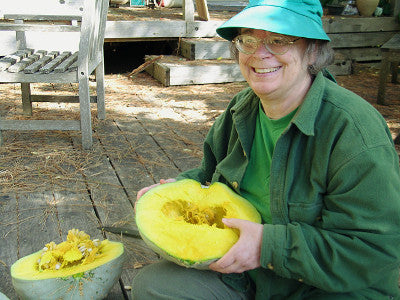 Sweet Meat–Oregon Homestead winter squash maxima image##Carol Deppe##https://www.flickr.com/photos/caroldeppe/sets/72157647001016174/