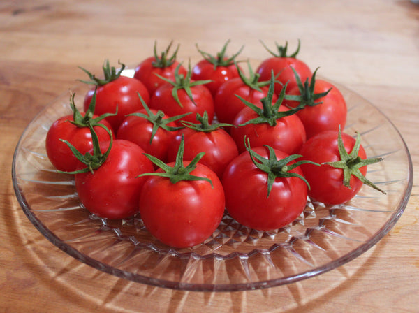 Doucet Plum tomato image####