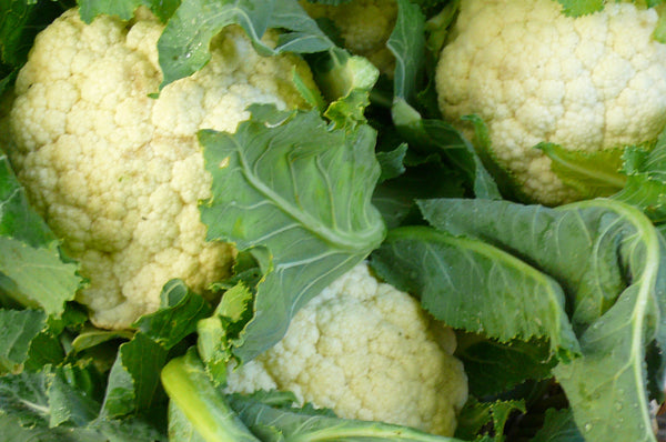 Nash’s All Year Round cauliflower image####
